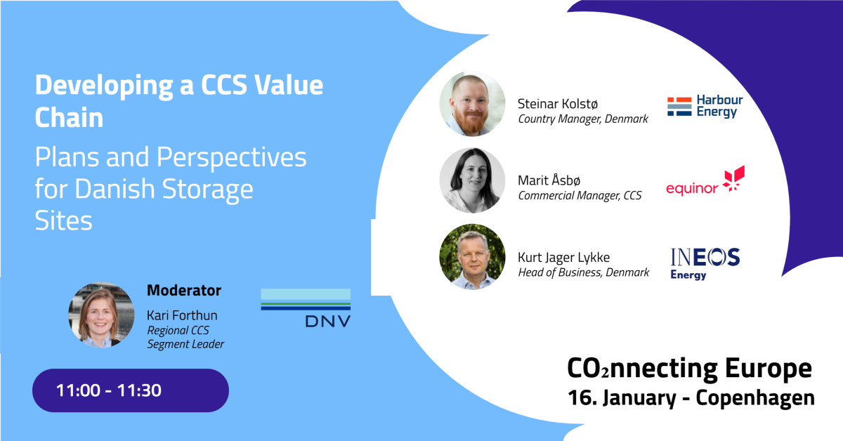 Developing a CCS Value Chain  Plans and Perspectives for Danish Storage Sites