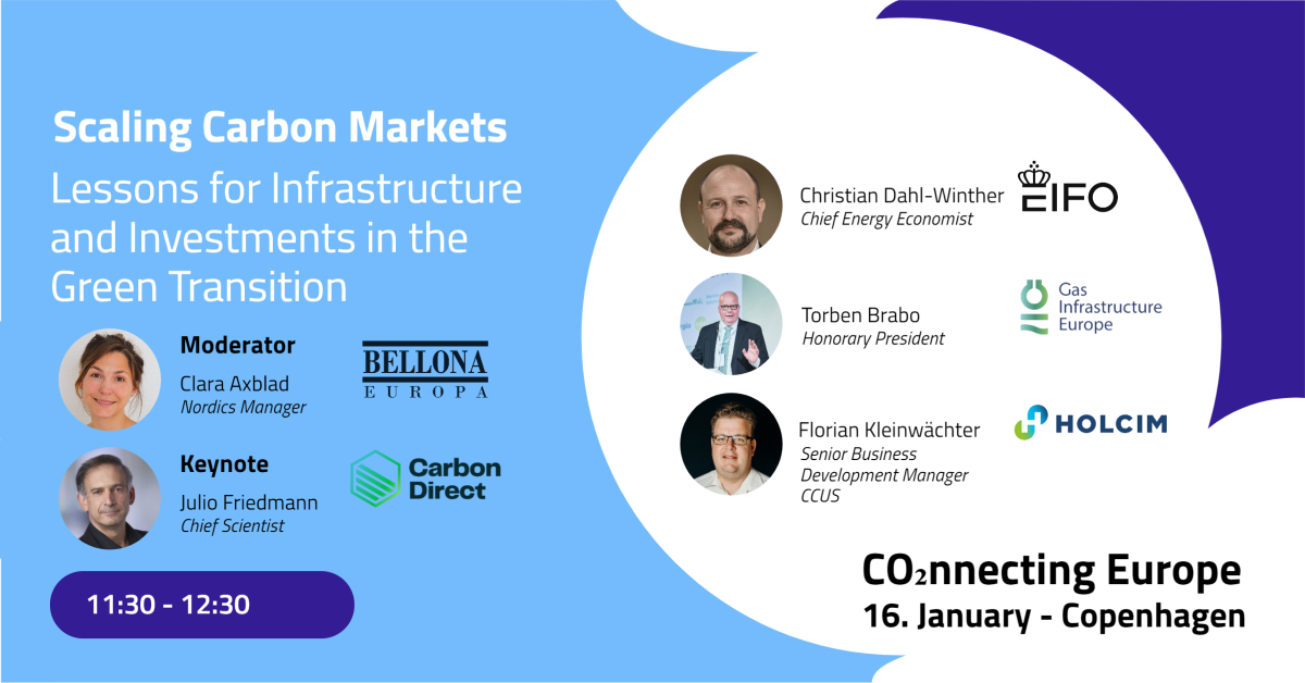 Scaling Carbon Markets  Lessons for Infrastructure and Investment in the Green Transition